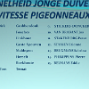 jonge duiven snelheid